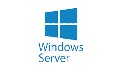 You are currently viewing windows server